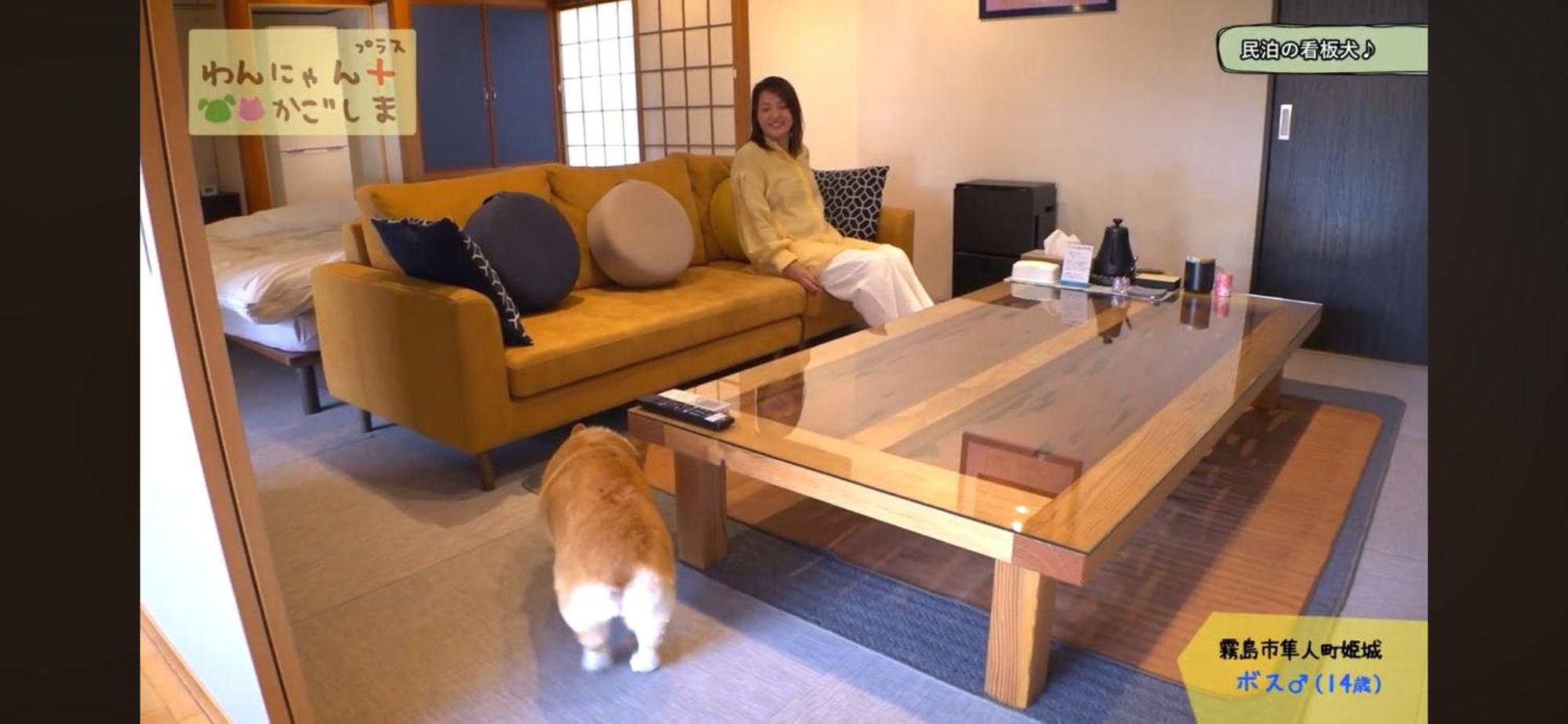 Boss'Shouse 犬ok 1組限定の宿 Kirishima Dış mekan fotoğraf